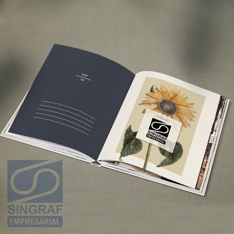 Singraf_livro 02